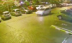 Sahte Sevgili Çetesi çökertildi