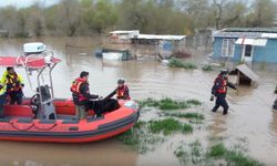 Bursa'da sular altında kalan bağ evinde mahsur kalan iki köpeği belediye ekipleri kurtardı