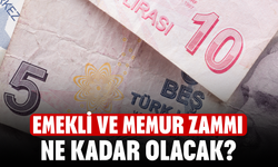 Temmuz Ayı Emekli ve Memur Zammı Ne Kadar Olacak? İşte 5 Aylık Enflasyon Tahmini