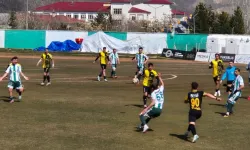 TFF 3. Lig: 12 Bingölspor - Ağrı 1970 Spor Kulübü (Maç Özeti)