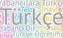 Türkçe Avrupa’da Resmi Dil Olarak Tanınacak Mı, Yeni Sınav Sistemi ve Yapay Zekâ Hamlesi Neleri Değiştirecek?