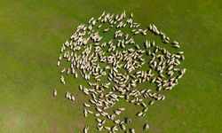 Genç besicilere büyük destek