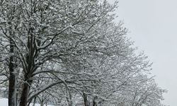 Nisan sonunda Uludağ’da kar kalınığı 1 metreyi buldu