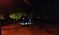 Adana'da araçtan atlayan 2 kişiden biri hayatını kaybetti