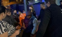 Bir anda parlayan at sahibine kabusu yaşattı