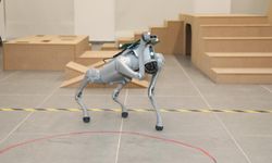 BTÜ’den gençlere robot köpeklerle geleceğe yolculuk!