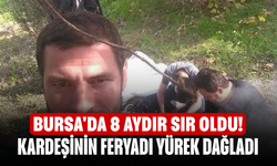 Bursa'da 8 aydır sır oldu! Kardeşinin feryadı yürek dağladı