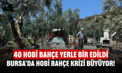 Bursa'da Hobi Bahçe Krizi Büyüyor! 40 Hobi Bahçe Yerle Bir Edildi