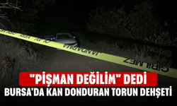 Bursa'da kan donduran torun dehşeti! "Pişman değilim" dedi