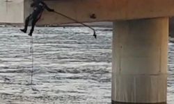 Bursa'da Köprü Altında Asılı Kalan Güvercinler İçin Ekipler Seferber Oldu!