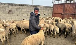 Bursa'da Kurban Bereketi Hayatını Değiştirdi!