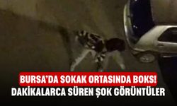 Bursa’da Sokak Ortasında Boks! Dakikalarca Süren Şok Görüntüler