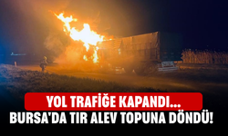 Bursa'da tır alev topuna döndü! Yol trafiğe kapandı...
