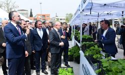 Bursa'da üreticiye 6 bin ahududu fidanı desteği!