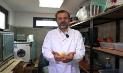 Butik Hayvanat Bahçesi yeni sakinlerini ağırlıyor!