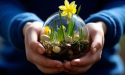 Çevreye Zarar Vermek Günah mı? İslam’a Göre Doğayı Kirletmek Kul Hakkına Girer mi?