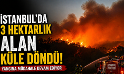 İstanbul'da 3 hektarlık alan küle döndü! Yangına müdahale devam ediyor
