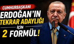 Cumhurbaşkanı Erdoğan’ın tekrar adaylığı için 2 formül
