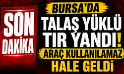 Bursa’da talaş yüklü tır yandı! Araç kullanılamaz hale geldi