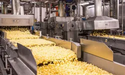 Cips Devinde Rekor Maaş Düzenlemesi! İşçilerin Geliri 110 Bin TL’ye Yükseldi, Sosyal Haklar 170 Bin TL’ye Dayandı