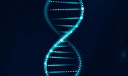 Çocuk Anne Karnında İken DNA Testi Yapılabilir mi? Anne Karnında Babalık Testi