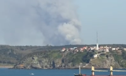 İstanbul Beykoz’da orman yangını paniği