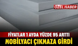 Fiyatlar 1 ayda yüzde 95 arttı! Mobilyacı çıkmazda...