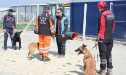 İNDAK K9 Köpeklerine AFAD'dan Görev Yeterlilik Sertifikası