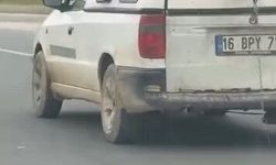 İnegöl'de köpeğin komik anları kamerada