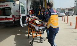 İnegöl’de Mobilya İmalathanesinde Kaza! Üzerine Ağaç Devrilen İşçi Yaralandı