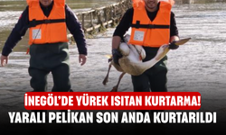 İnegöl’de Yürek Isıtan Kurtarma! Yaralı Pelikan Son Anda Kurtarıldı