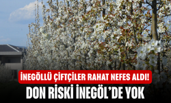 İnegöllü Çiftçiler Rahat Nefes Aldı! Don Riski İlçe Dışında Kaldı