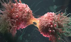 Kanser Tedavisinde Devrim Olabilir! Bilim İnsanları “Tümör Yiyen” Bakteriler Üzerinde Çalışıyor