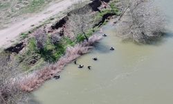 Kesikköprü'de sır gibi kayıp! 5 gündür iz yok