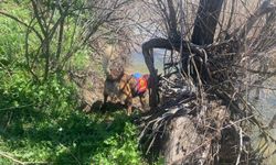 Burdur'da kazada ağır yaralanan 10 yaşındaki çocuk hayatını kaybetti