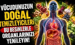 Organları Doğal Yollarla Destekleyen Besinler Hangileri?