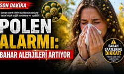 Polen Alarmı: Bahar Alerjileri Artıyor