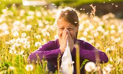 Uzmanlardan Önemli Uyarı! Nisan Ayında Pencereleri Saat 22:00’den Önce Açmayın, Polenler Sağlığınızı Tehdit Ediyor