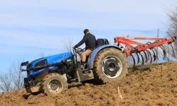 TÜİK verileri açıklandı! 78 ilde arttı, bu 3 ilde azaldı