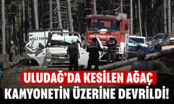 Uludağ’da kesilen ağaç kamyonetin üzerine devrildi! 1 ölü, 2 yaralı