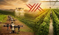 Üniversitelerde Yeni Dönem Başlıyor mu? Yapay Zeka ve Tarım Teknolojileri Alanında Yeni Bölümler Açılacak mı?