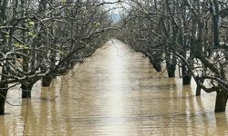 Bursa'da Göller Taştı, Tarım Arazileri Su Altında Kaldı! Baraj Kapaklarının Açılması Gündemde
