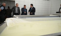 Yenişehir’de Üretim Gücü! Orhaniye Kooperatifi Türkiye’ye Açılıyor