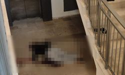 Yüksekten düşen şahıs hayatını kaybetti