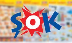 13 Mayıs 2026 ŞOK aktüel kataloğu! ŞOK'a kule tipi vantilatörler geliyor!