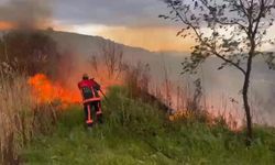 Elazığ Kovancılar’da Otluk Alanda Yangın Paniği