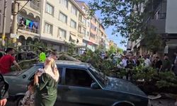 Bursa'da Devrilen Ağaç Araçların Üzerine Düştü: 1 Yaralı