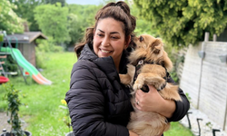 Almanya’da köpek sahiplerine sigorta şartı