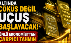 Altında çöküş değil uçuş başlayacak! Ünlü ekonomistten çarpıcı tahmin