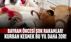 Bayram Öncesi Şok Rakamlar! Kurban Kesmek Bu Yıl Daha Zor!